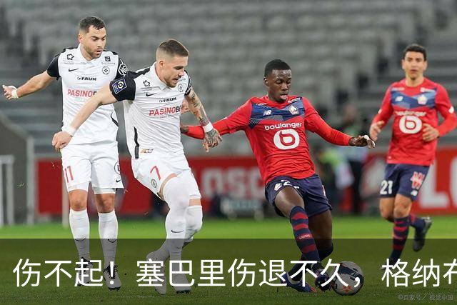 伤不起！塞巴里伤退不久，格纳布里也受伤被换下，斯坦尼西奇登场