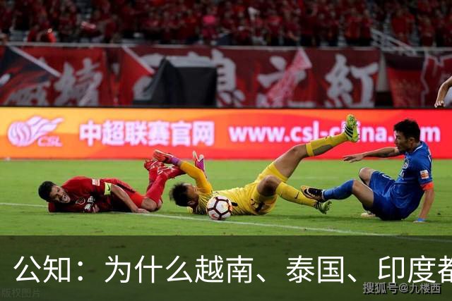 公知：为什么越南、泰国、印度都在“崛起”，就中国不行？