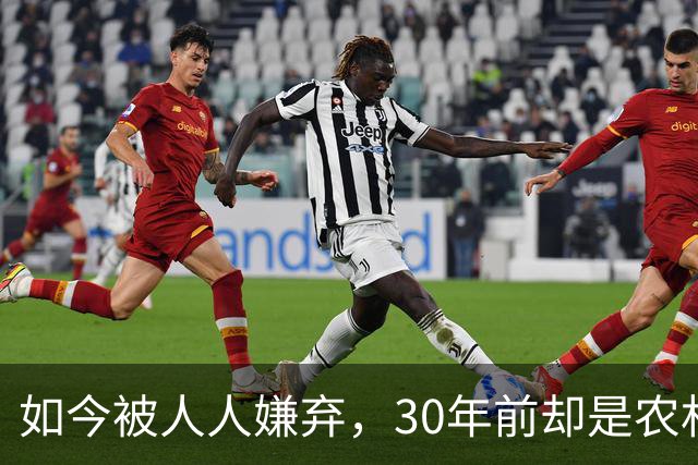如今被人人嫌弃，30年前却是农村香饽饽，为何如今仍然大量养殖