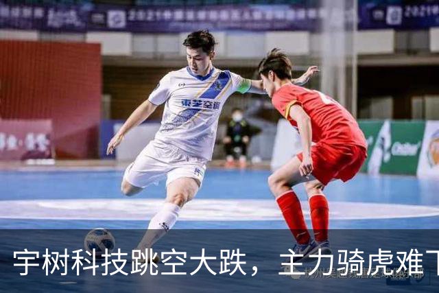 宇树科技跳空大跌，主力骑虎难下，硬着头皮拉，但依然无济于事！