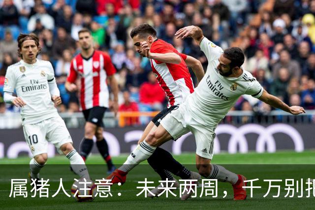 属猪人注意：未来两周，千万别把送上门的好事推走