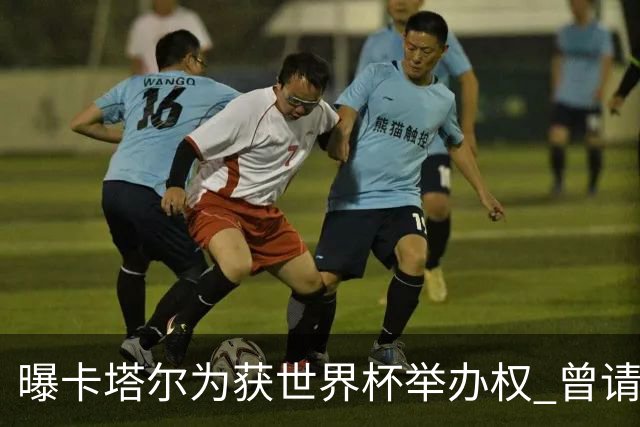 曝卡塔尔为获世界杯举办权 曾请前CIA特工监听FIFA