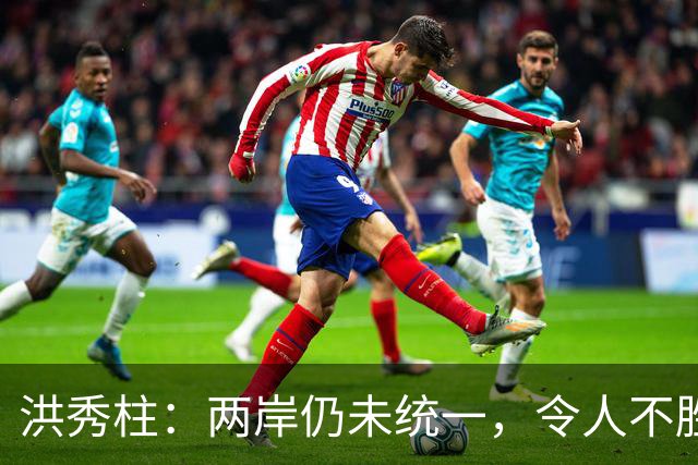 洪秀柱：两岸仍未统一，令人不胜唏嘘