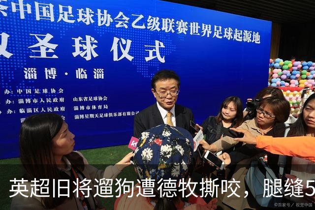 英超旧将遛狗遭德牧撕咬，腿缝50多针，最后是自家狗救了他一命