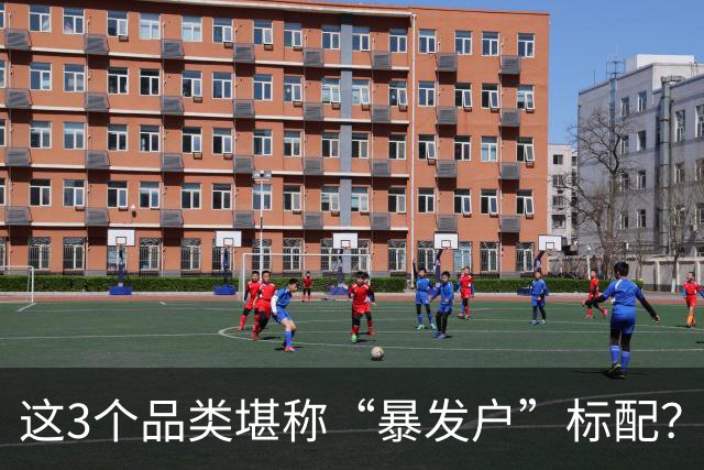 这3个品类堪称“暴发户”标配？第1中国几乎人手一个